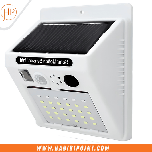 Solar Motion Alarm Security Light